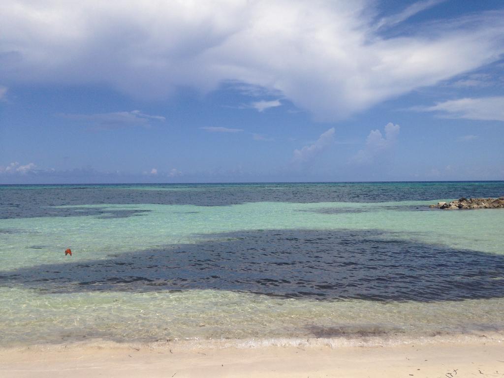 Seacastles By The Beach/Pool Montego Bay Eksteriør billede